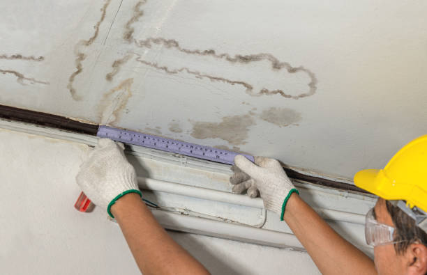 Reliable Water Damage contractor in Whitinsville, MA by Water Damage Irwin